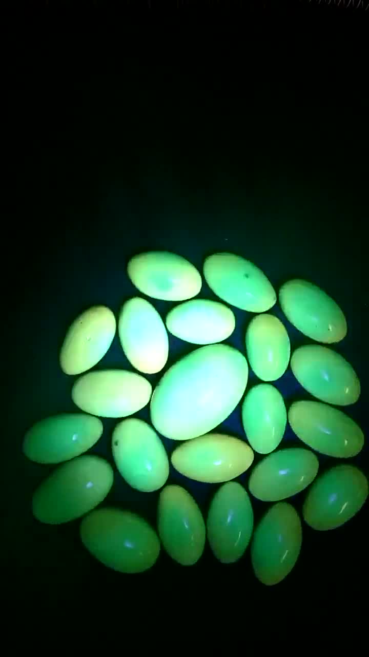 Luminescent YMZ Ye Ming Zhu *great for an Evening Easter Egg Hunt