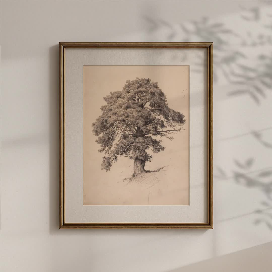 Antique Oak Tree Sketch, Detailed Botanical Pencil Drawing, Forest