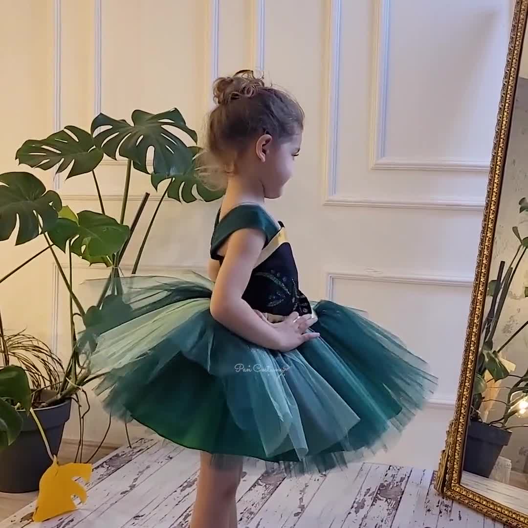 princess anna birthday dress Dress, Frozen US Size:US 8 A Line – Vintage Nav_Shop_Pants Tutu * A set consisting