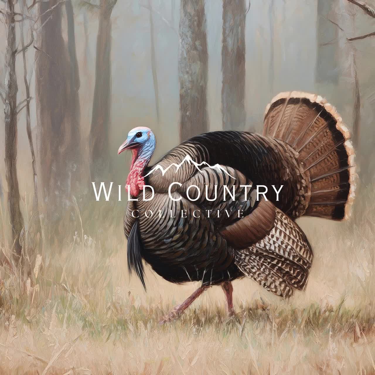Framed Wild Turkey Forest Canvas Wall Art Woodland Wildlife