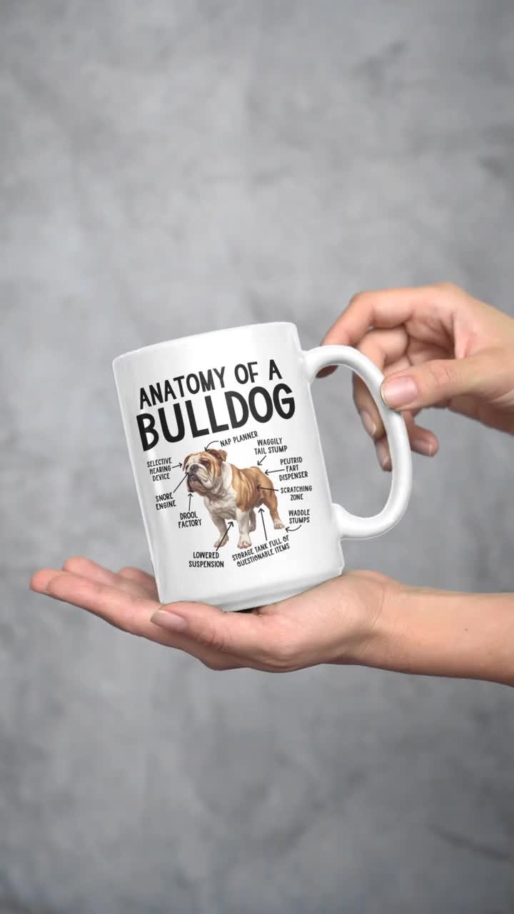 Anatomy of a Bulldog Mug, Funny English Bulldog Gifts, Bull Dog
