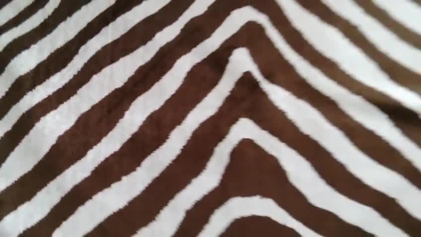 Designers Guild Ralph Lauren Bartlett Zebra Chestnut Fabric