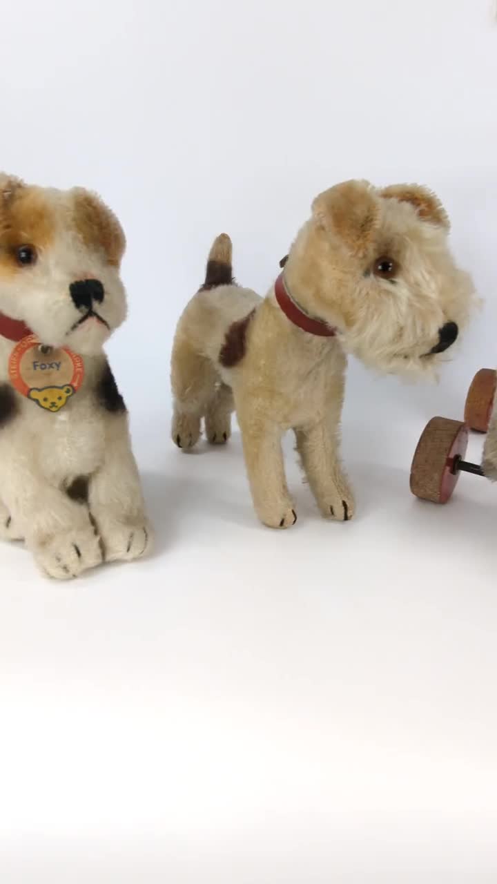シュタイフ フォックステリア犬 ID付き 最大7インチ ヴィンテージ 1953