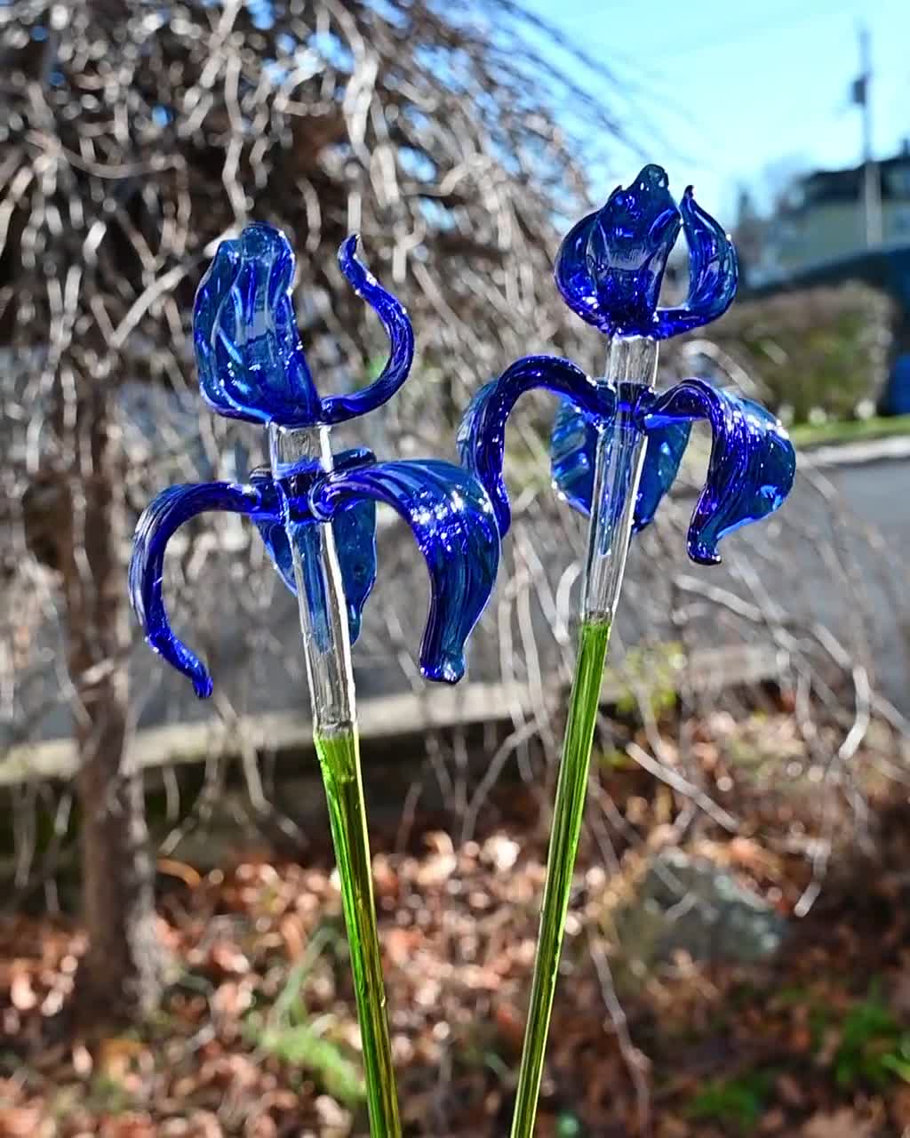 手吹きガラスのアイリスの花 15インチ、吹きガラスの青いアイリスの茎