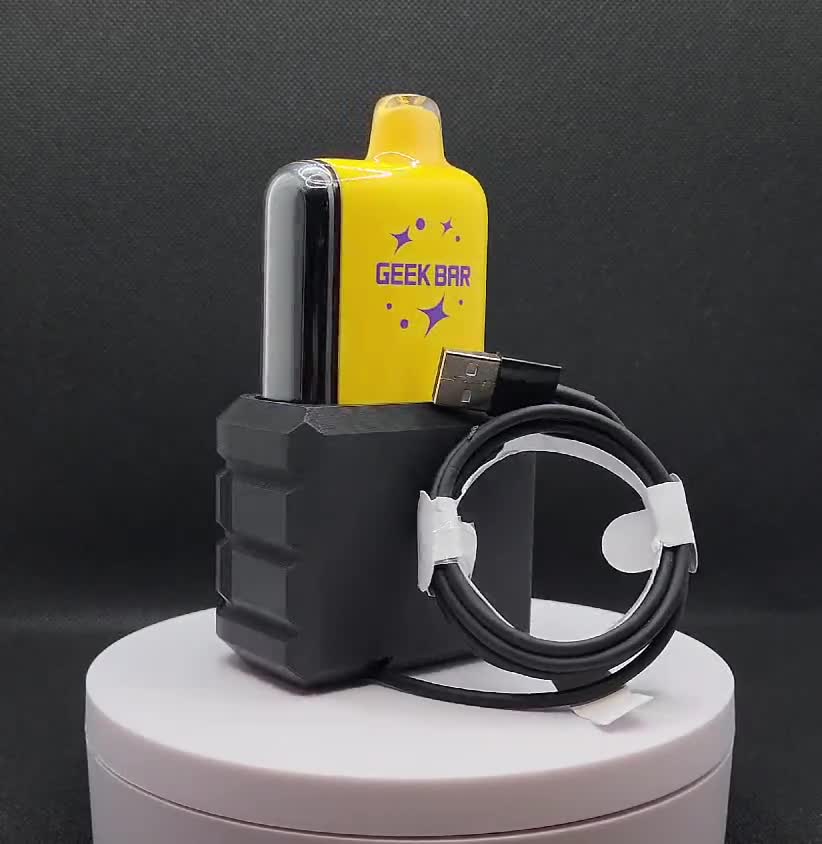 geek bar pulse charger Charging Dock | Stylish Charging Stand with Built In USB C Cable | Desk Organizer | Vape smok Aromă:Mură și afină sunrise elf bar flavor