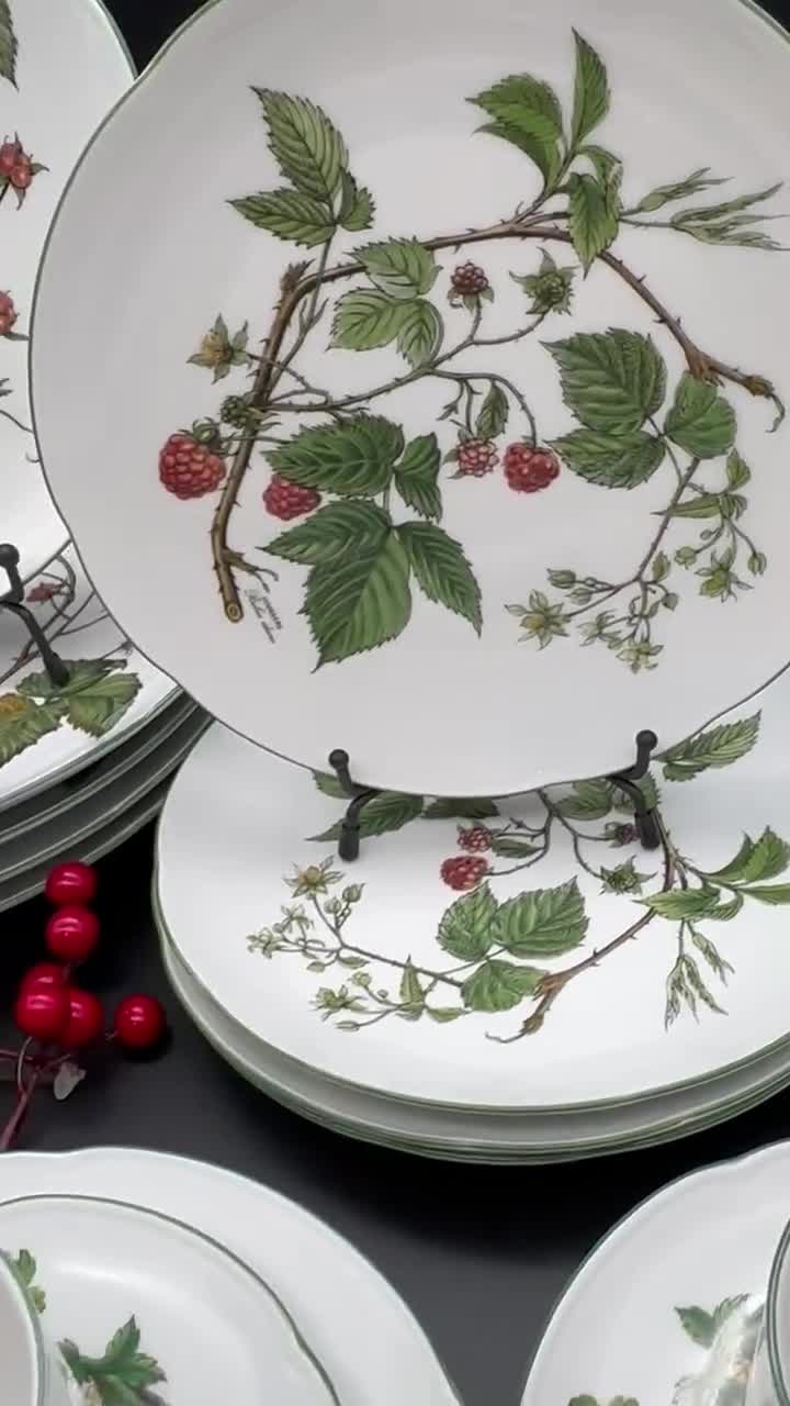 Vintage Seltmann Weiden Gloria Waldbeere Porcelain Dinner Coffee