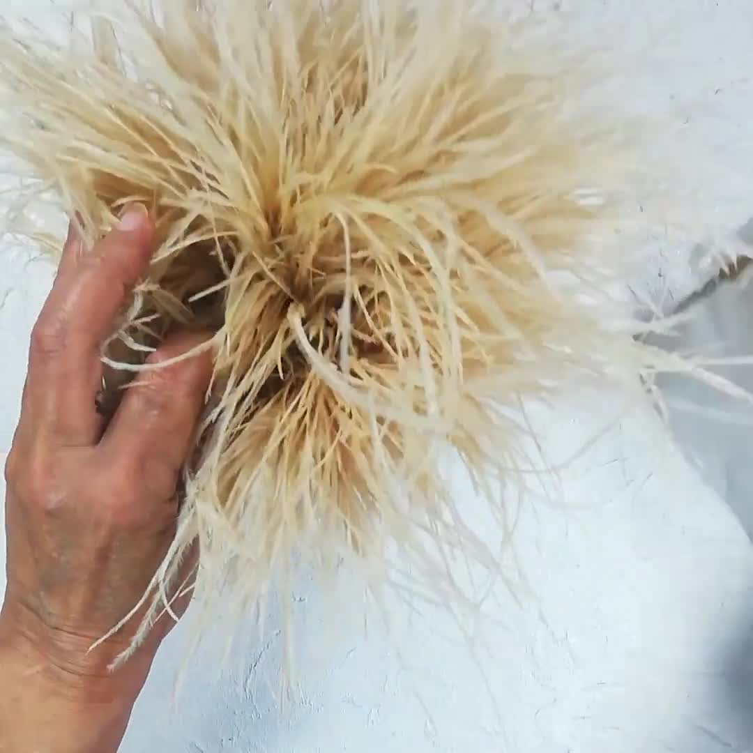 Big Cream Feather Brooch, Carmine Ostrich Feathers Decorative