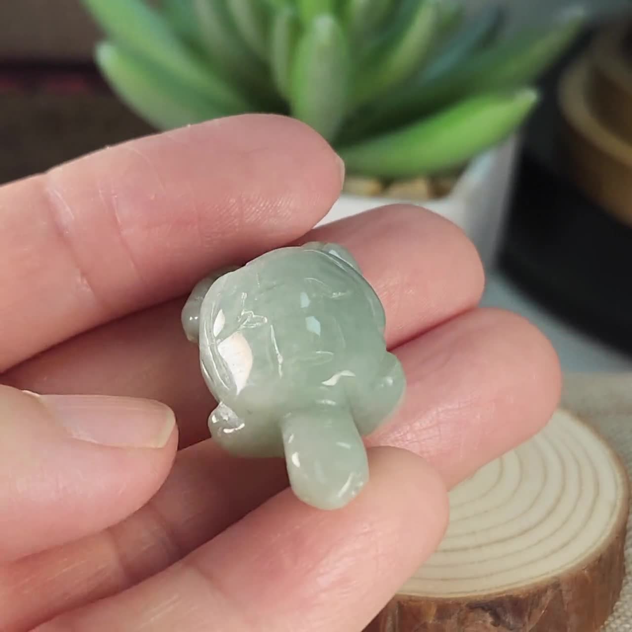 Lovely Little Turtle Well Crafted Natural Type A Jadeite Jade