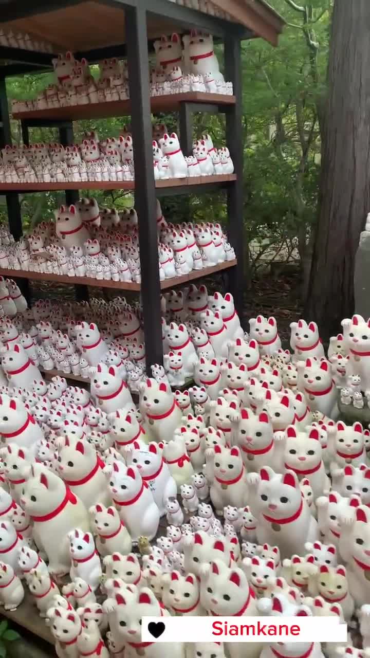 招き猫ファミリーセット：豪徳寺の陶器製招き猫 - Etsy 日本