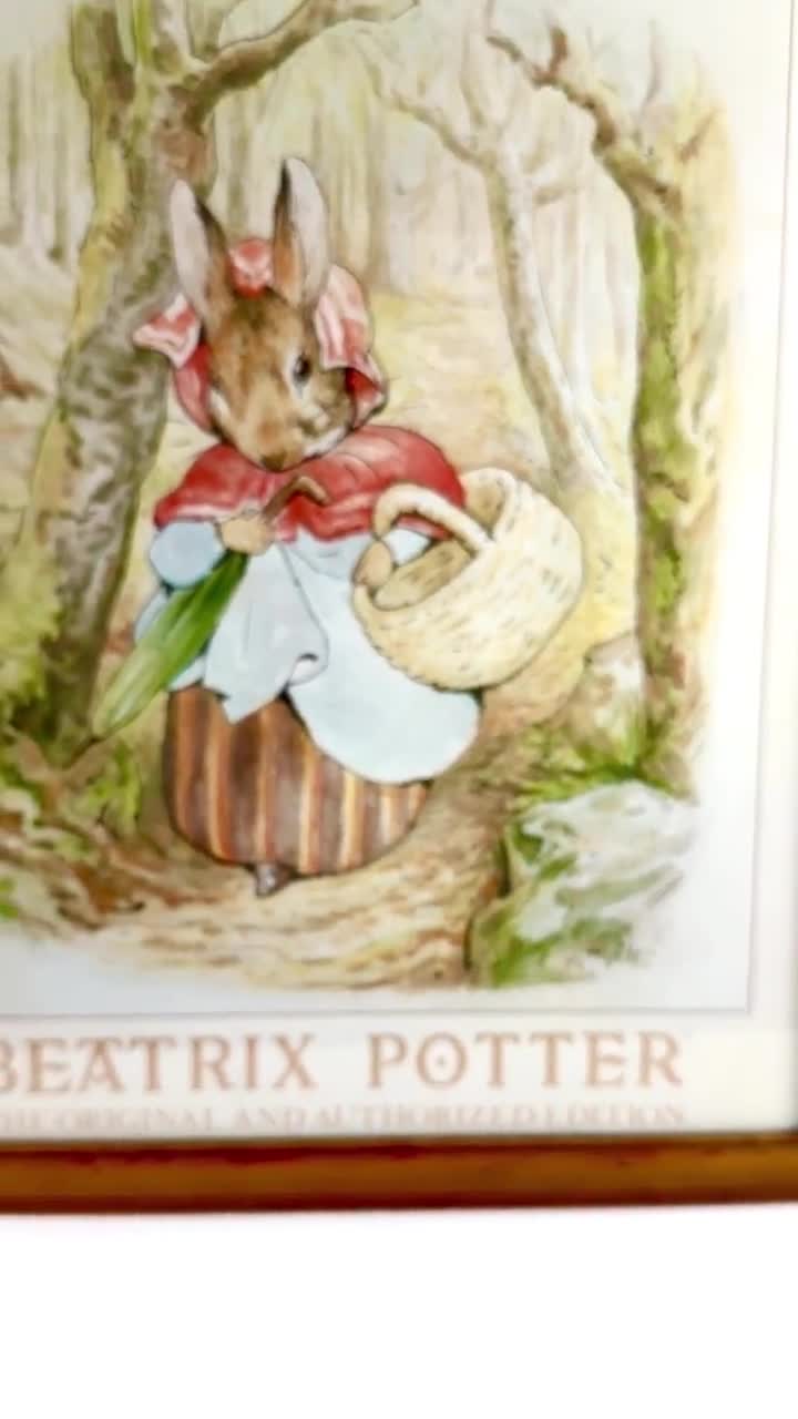 Beatrix Potter ピーターラビット　ポスター　額付き　ヴィンテージ Vintage Beatrix Potter Peter Rabbit Framed Poster Wall Art