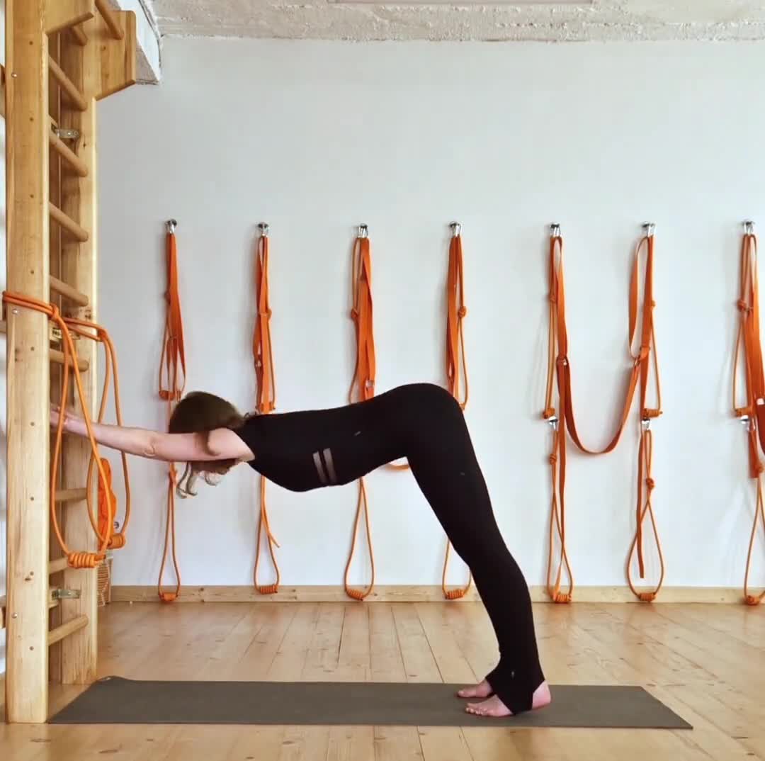 Wooden Swedish Ladder for Home Gym | Premium Swedish Wall | Stall