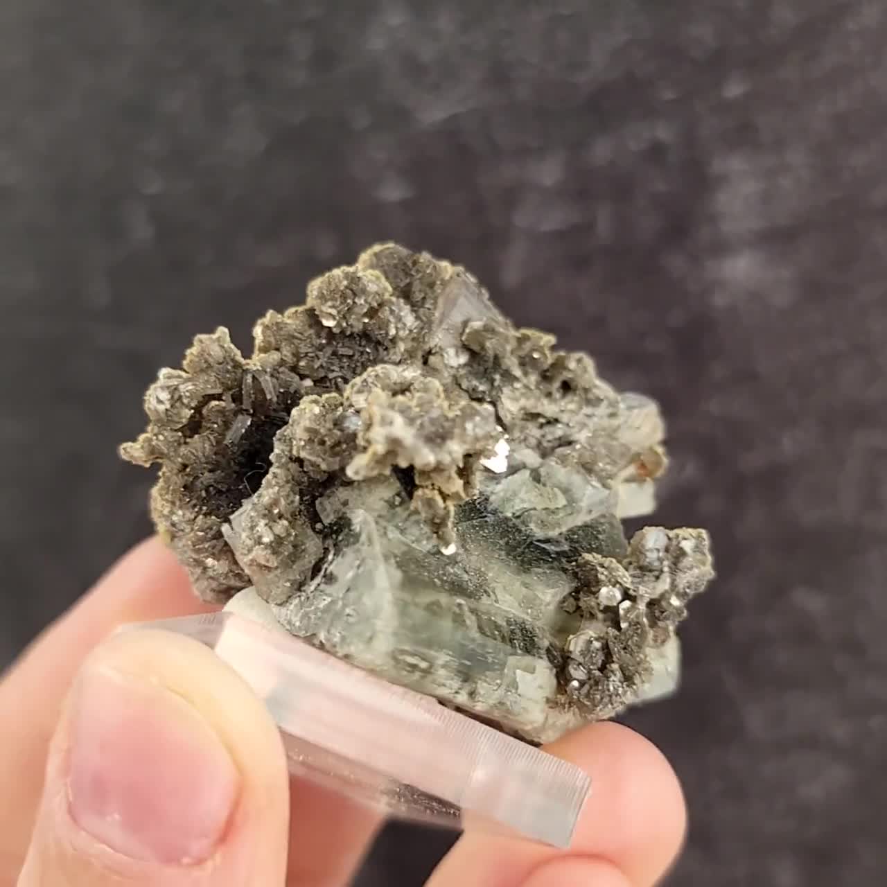 ポルトガル、パナスケイラ鉱山産の蛍石、硫砒鉄鉱、白雲母、水晶、緑色