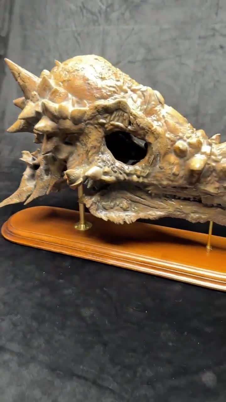 パキケファロサウルスの頭蓋骨レプリカ｜博物館級の化石レプリカ、木製