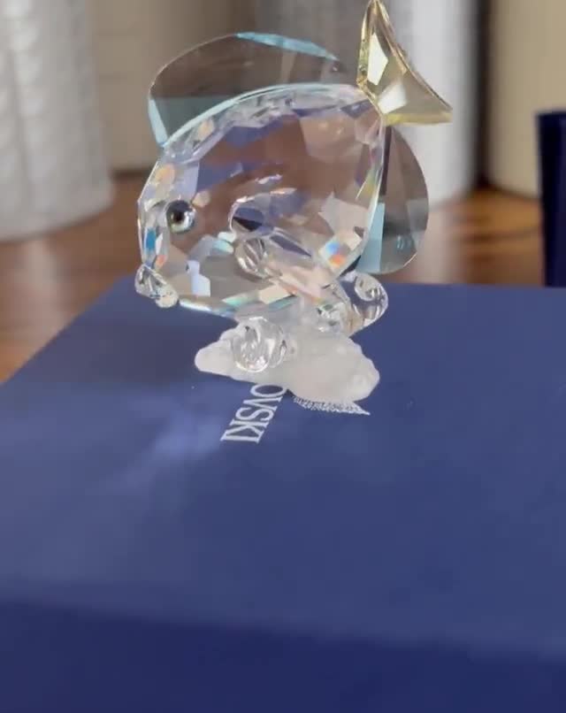 Swarovski Crystal Tang Fish: 2007 SCS Wonders of the Sea Figurine
