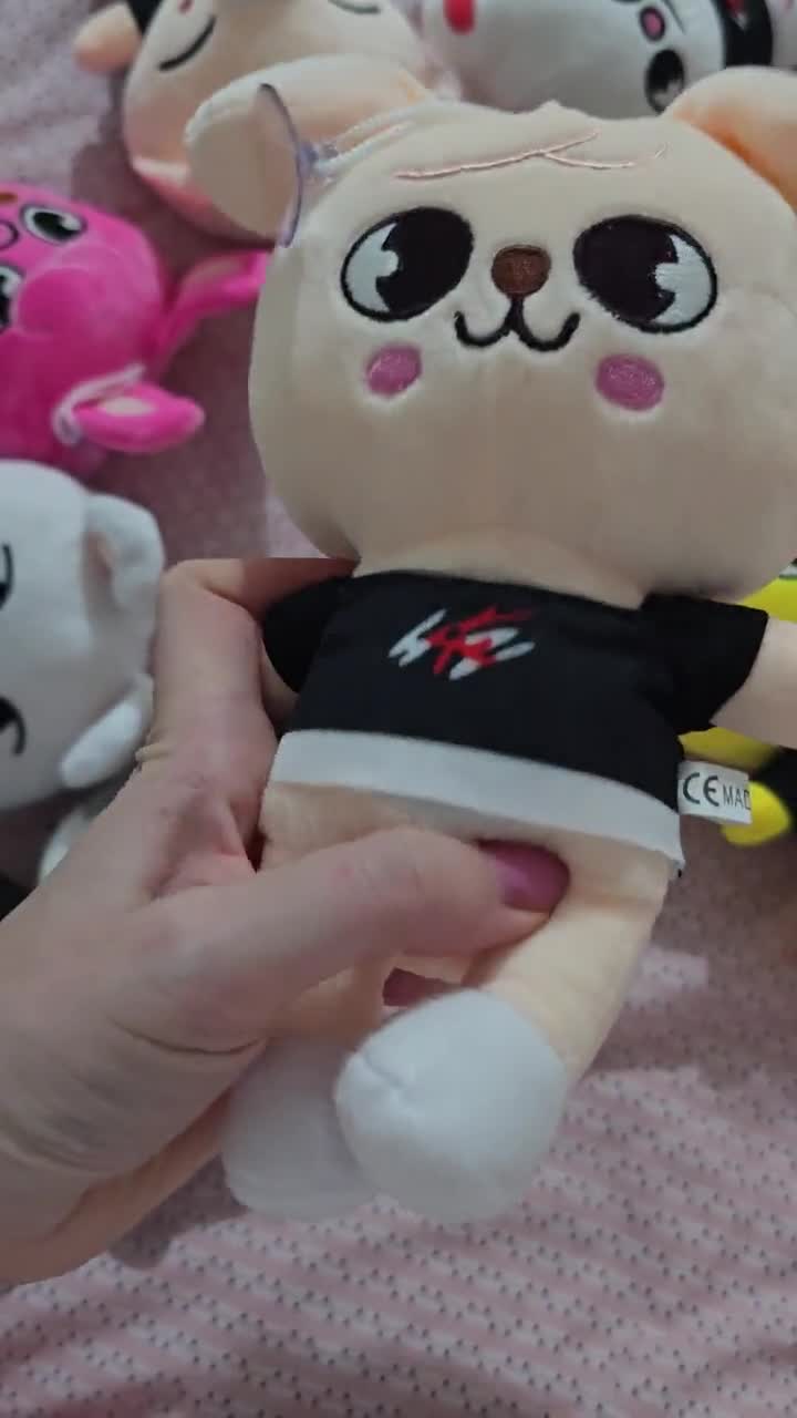K-pop Stray Kids Skzoo,plush, Teddy Bear,stuffed Toy - Etsy