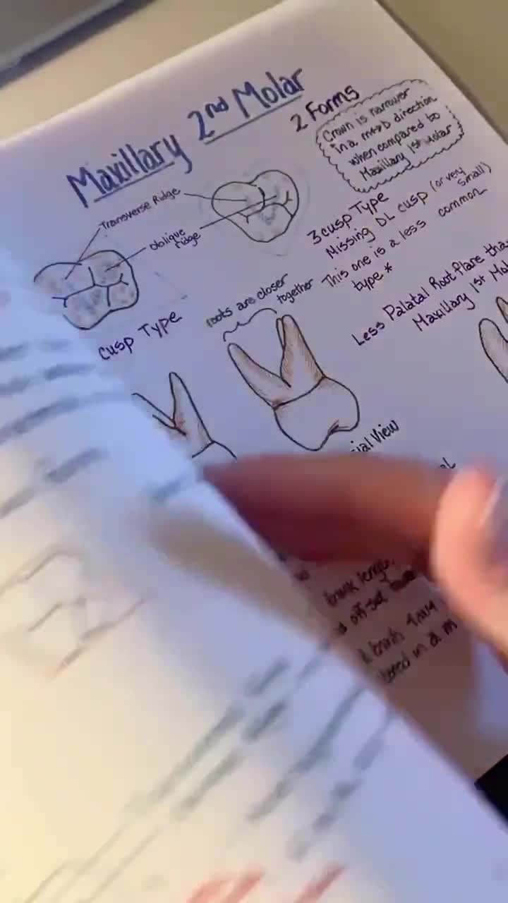 Dental Tooth Anatomy Spiralbound 116 Color Handwritten Notes for
