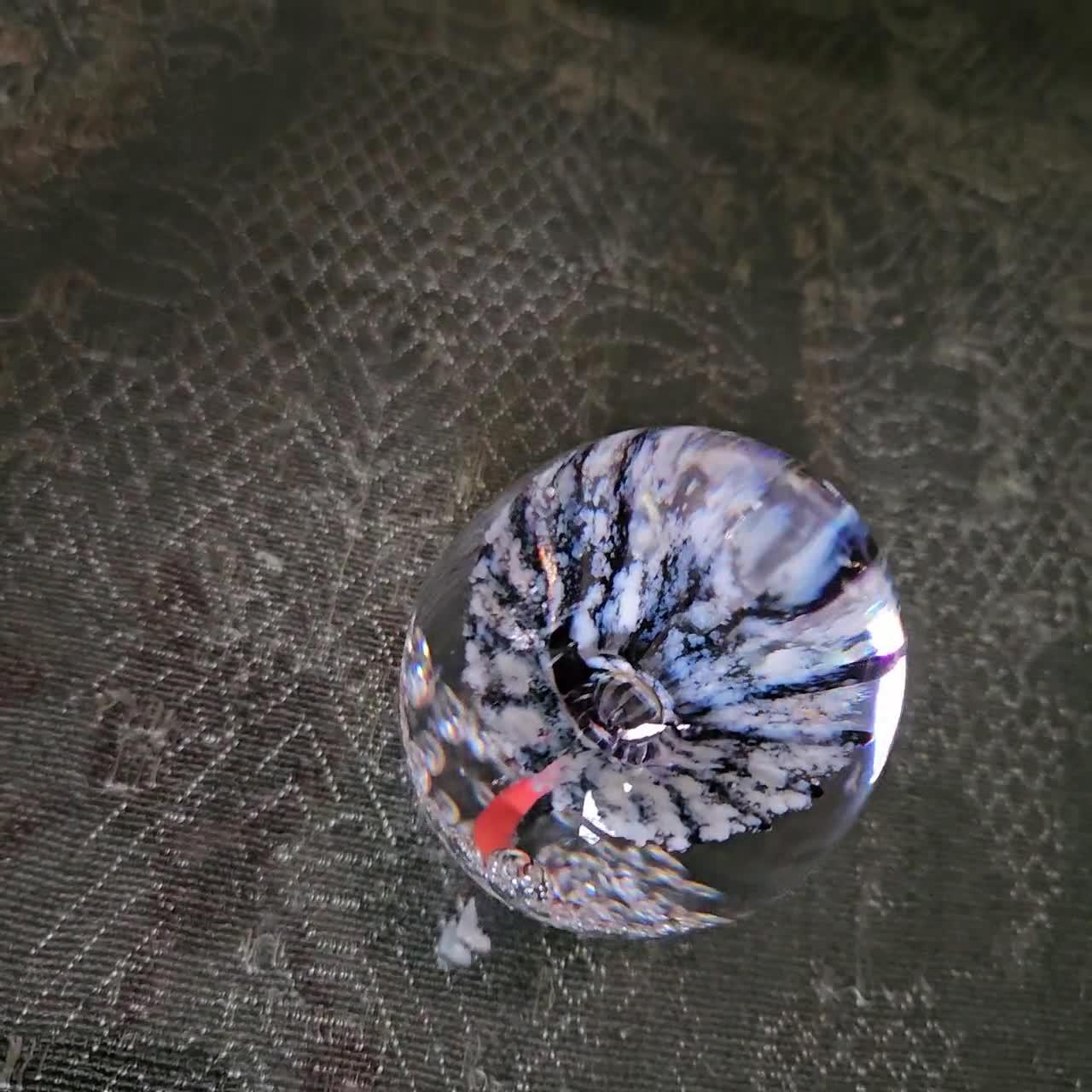 Daum France Paperweight Trumpet Flower - With Original Box - Etsy