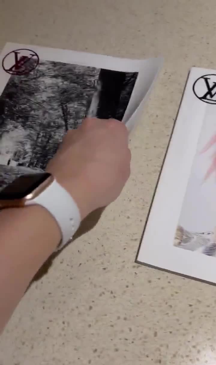 Louis Vuitton the Book Catalogue 15/16 Fall Winter and 16/16