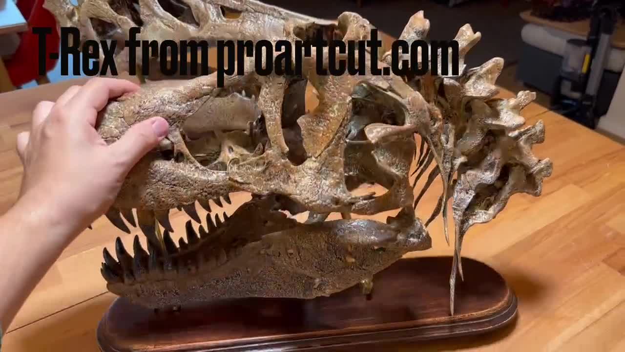 手作りのティラノサウルスの頭蓋骨化石レプリカ – 博物館級の恐竜彫刻