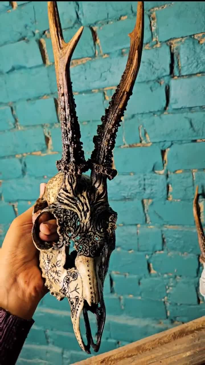 Engraved Roe Deer Skull: Tree of Life, Algiz, Vegvisir - Etsy Israel