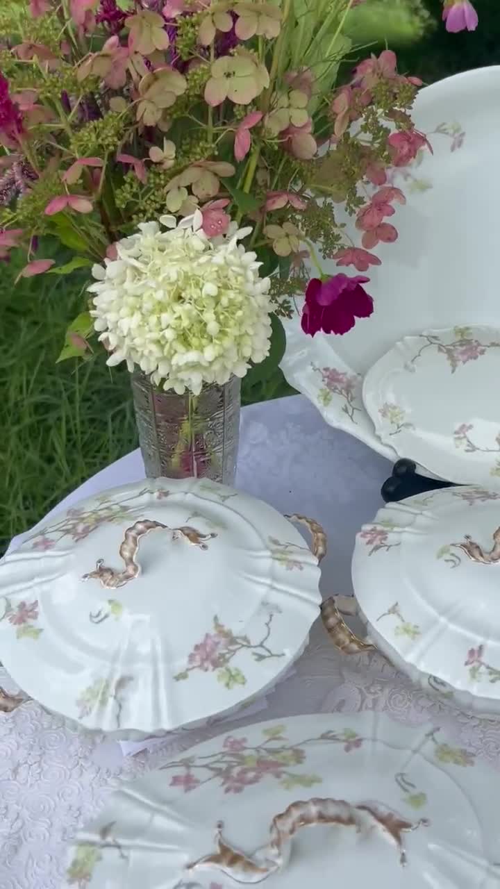 Theo Haviland France Limoges Pattern 126, Pink and Yellow Apple