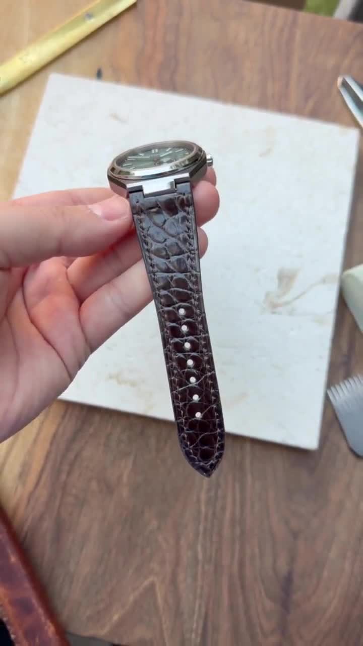 Citizen Zenshin Super Titanium / Eco-drive - Shiny Alligator