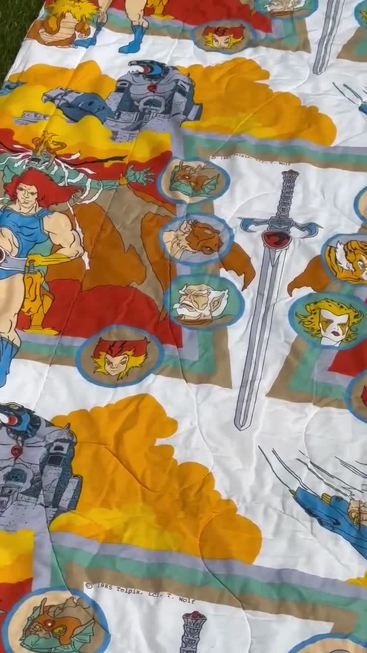 1985 Thundercats Twin Comforter Vintage Lion-o Cheetara Cartoon