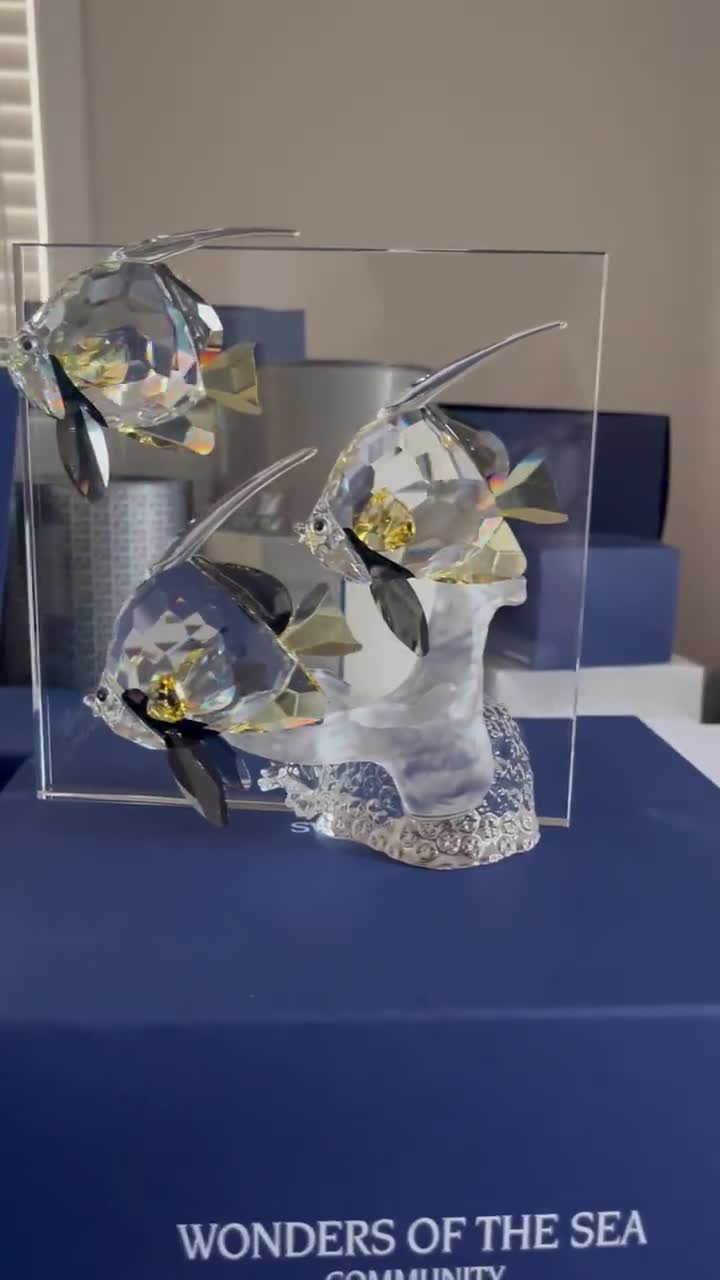 スワロフスキー 海の不思議 コミュニティー カラフルな魚たち 新品