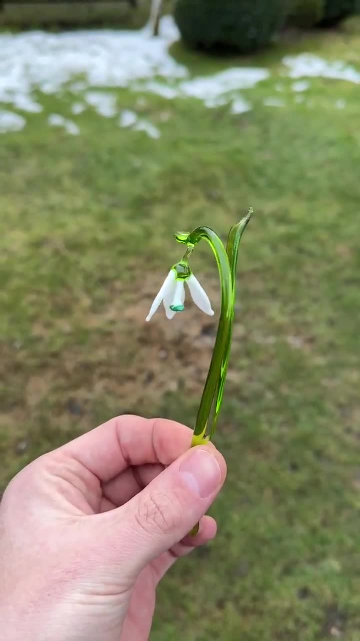 ガラスの花スノードロップ - 白いスノードロップ - ガラスの花 - 一粒
