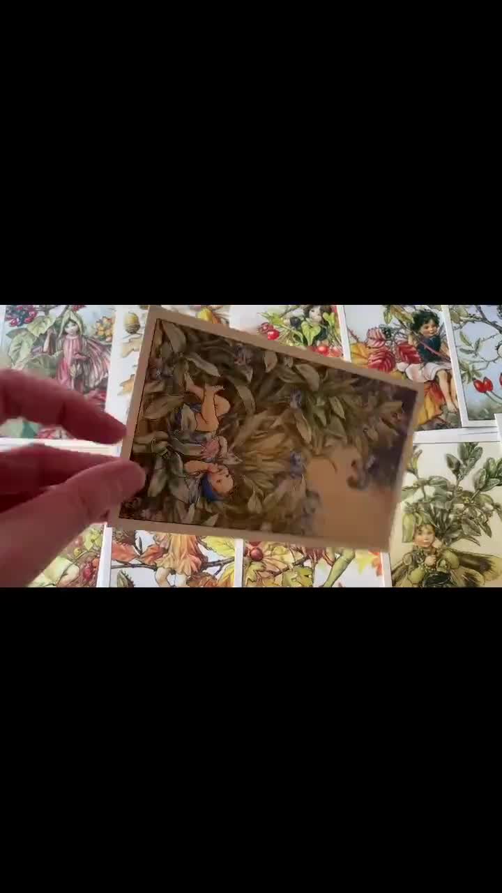 花の妖精ポストカードセット：シセリー・メアリー・バーカー作、道端の