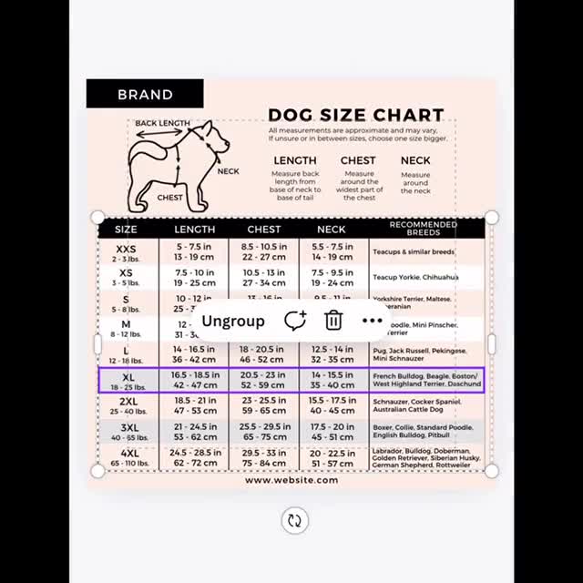 編集可能な犬服サイズ表テンプレートCanva、印刷可能な犬服サイズ
