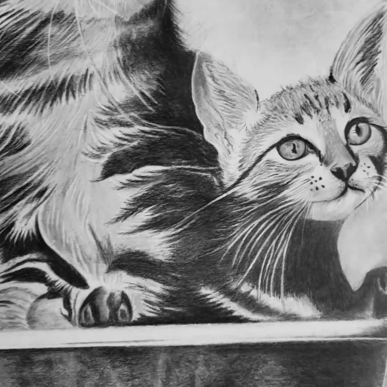 オリジナル猫子猫鉛筆画、リアルな動物肖像画 A3 - Etsy 日本