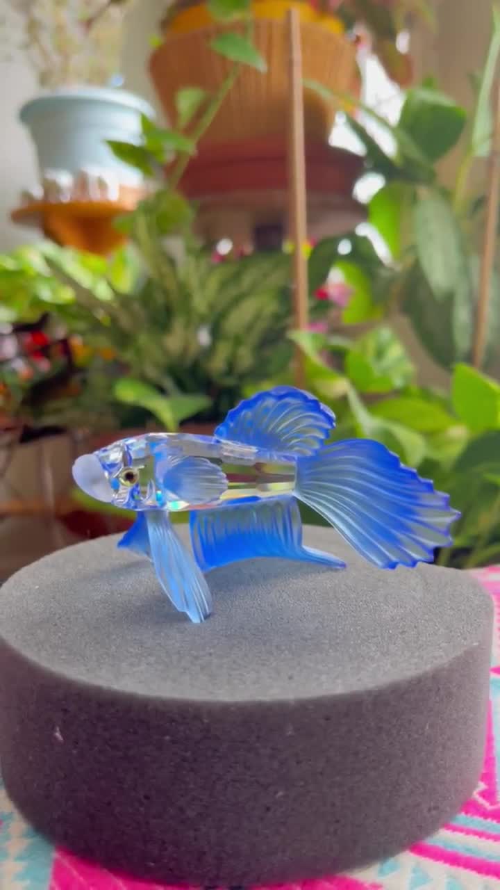 Swarovski Crystal Figurine Siamese Fighting Fish Blue 236718 Mint