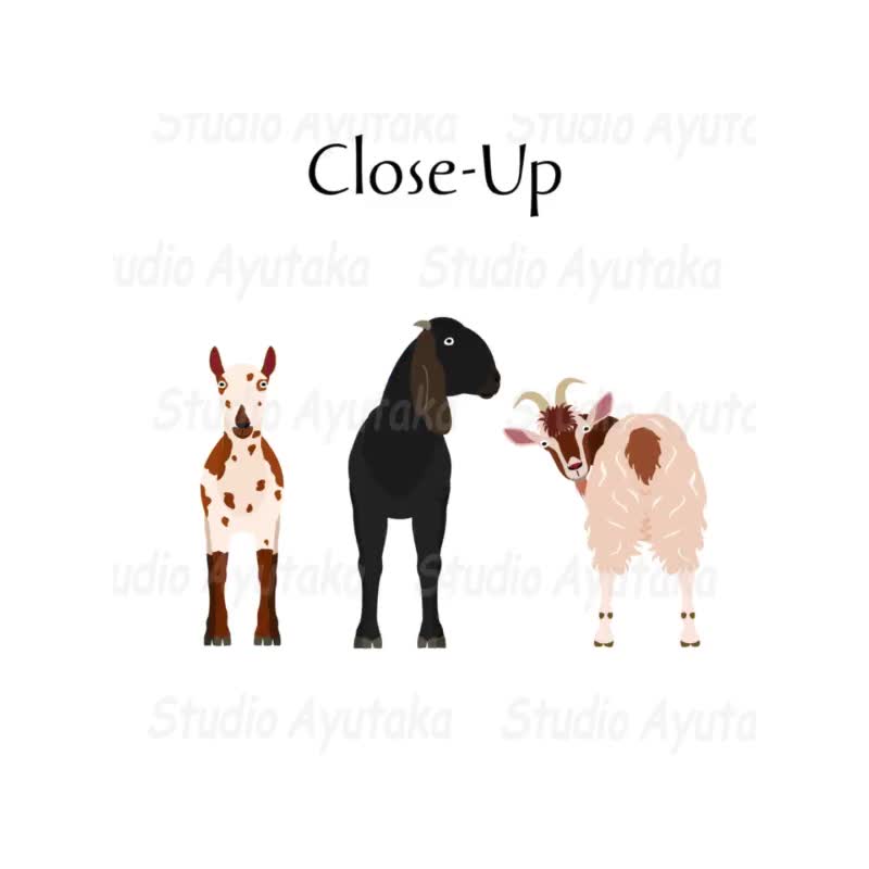 Bundle of 47 Breeds Goats Cliparts - Hand-drawn Digital Art, Png