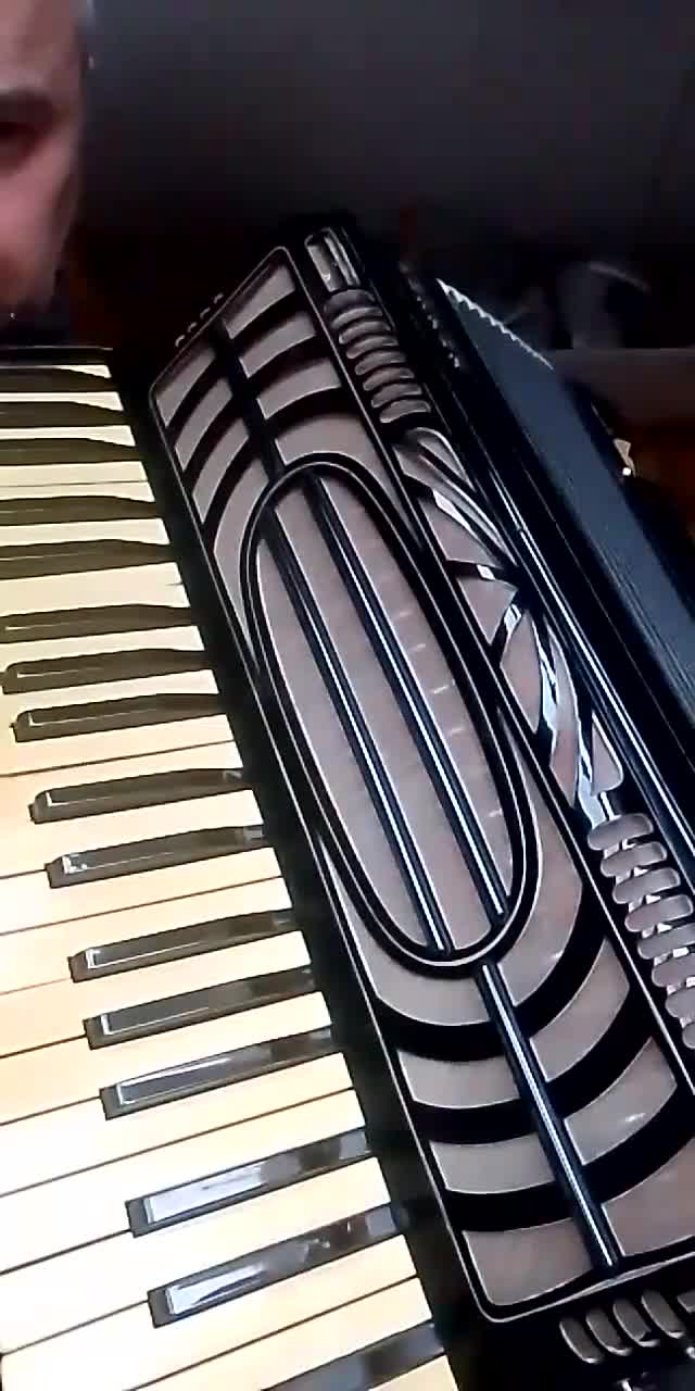 Hohner Tango V アコーディオン – 140 ベース、41 鍵 – ヴィンテージ