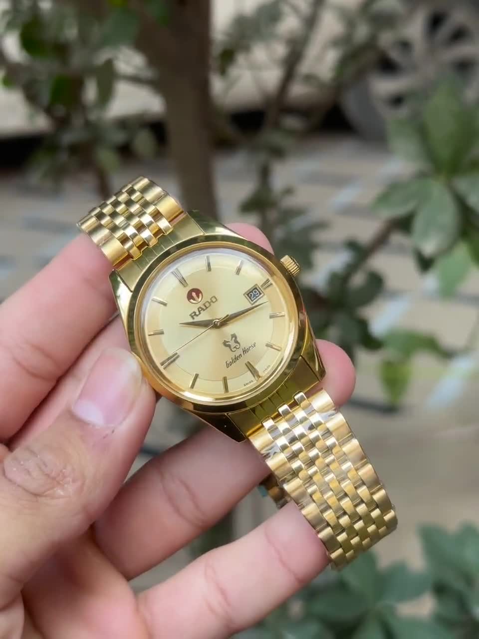 Rare Rado Golden Horse Limited Edition Automatic Watch: Golden