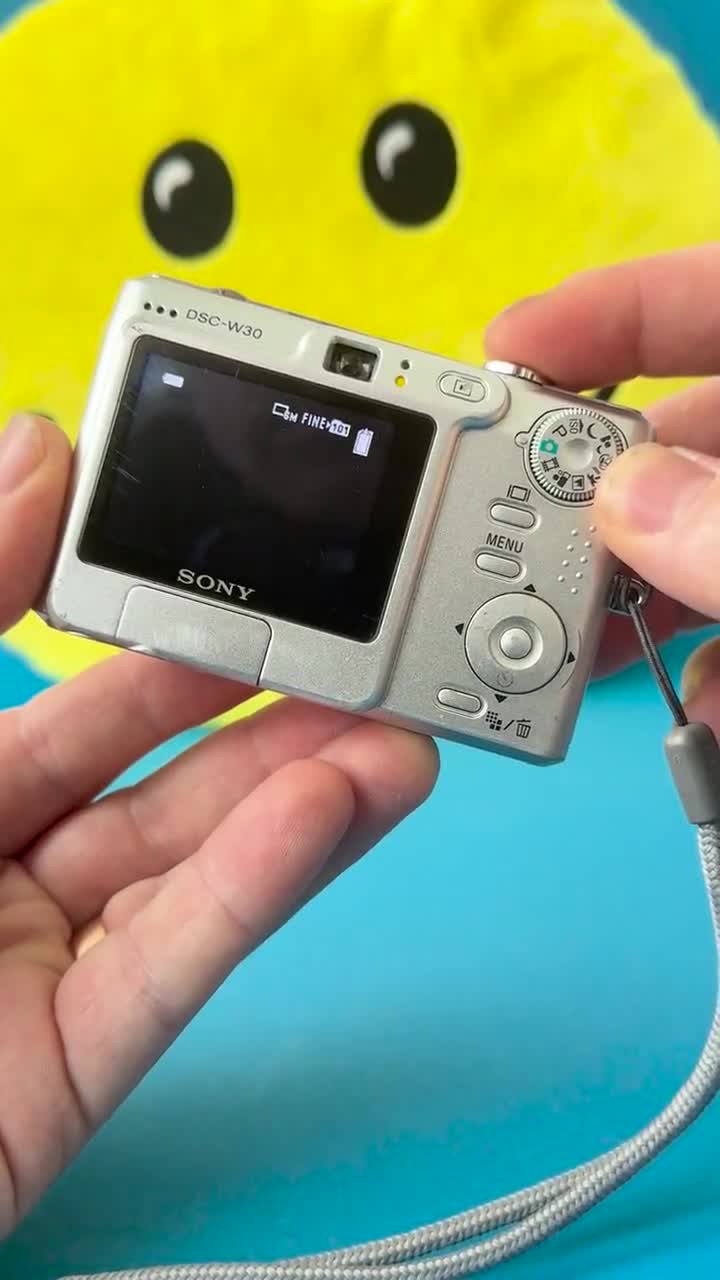 Sony Cyber-shot DSC-W30 6MP Digital Camera | Compact Point and