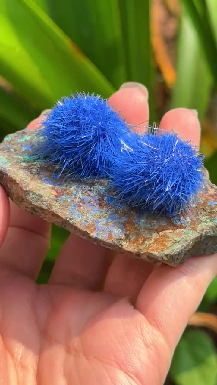 タンポポゼオライトクォーツ結晶クラスター - 希少な結晶クラスター塊