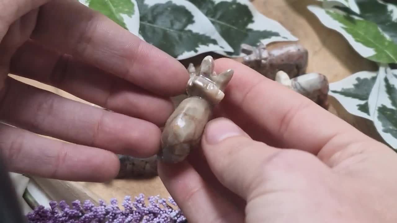 Soapstone Triceratops - Spirit Animal Totem Power Gemstone Crystal