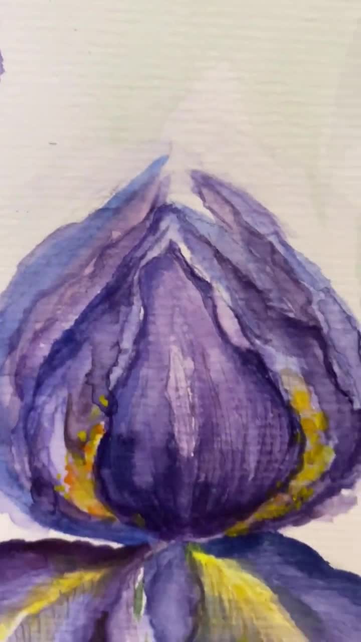オリジナルパープルアイリス水彩画：花の壁アート（8x6） - Etsy 日本
