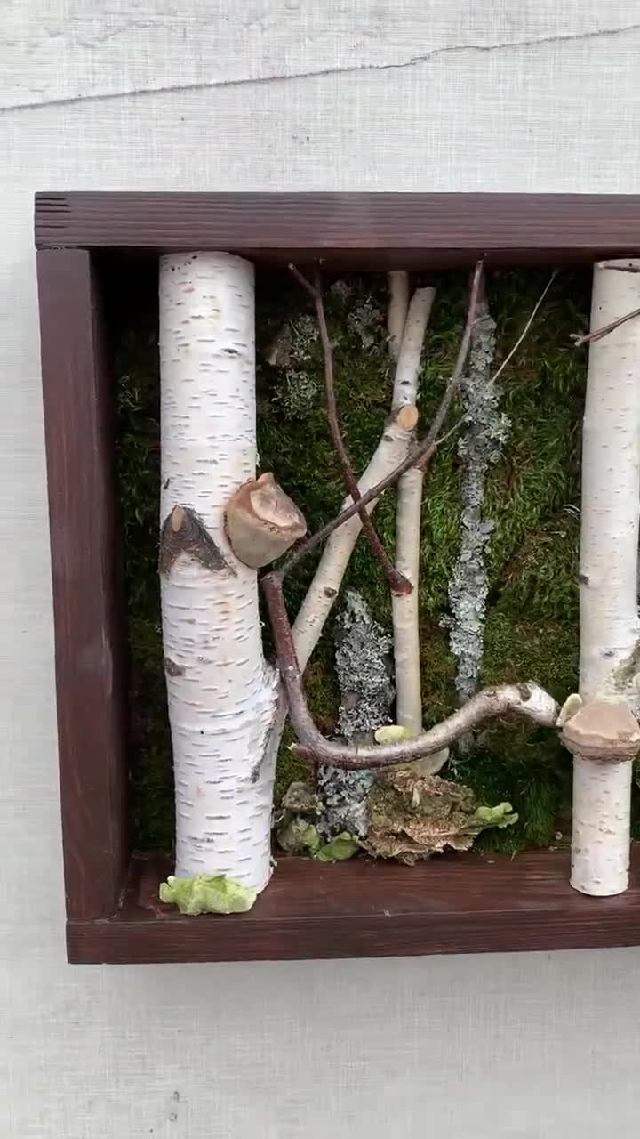 白樺の木のアート 苔の壁アート フォレストコアの装飾 白樺の枝の壁