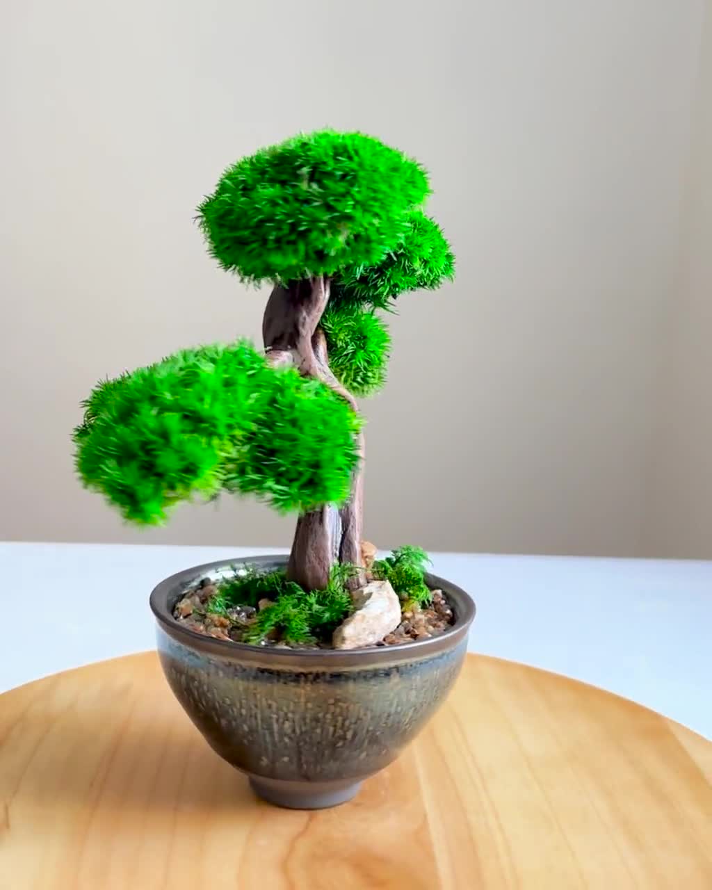 Mini Preserved Moss Bonsai Tree, Blue Ceramic Pot, Japanese Zen