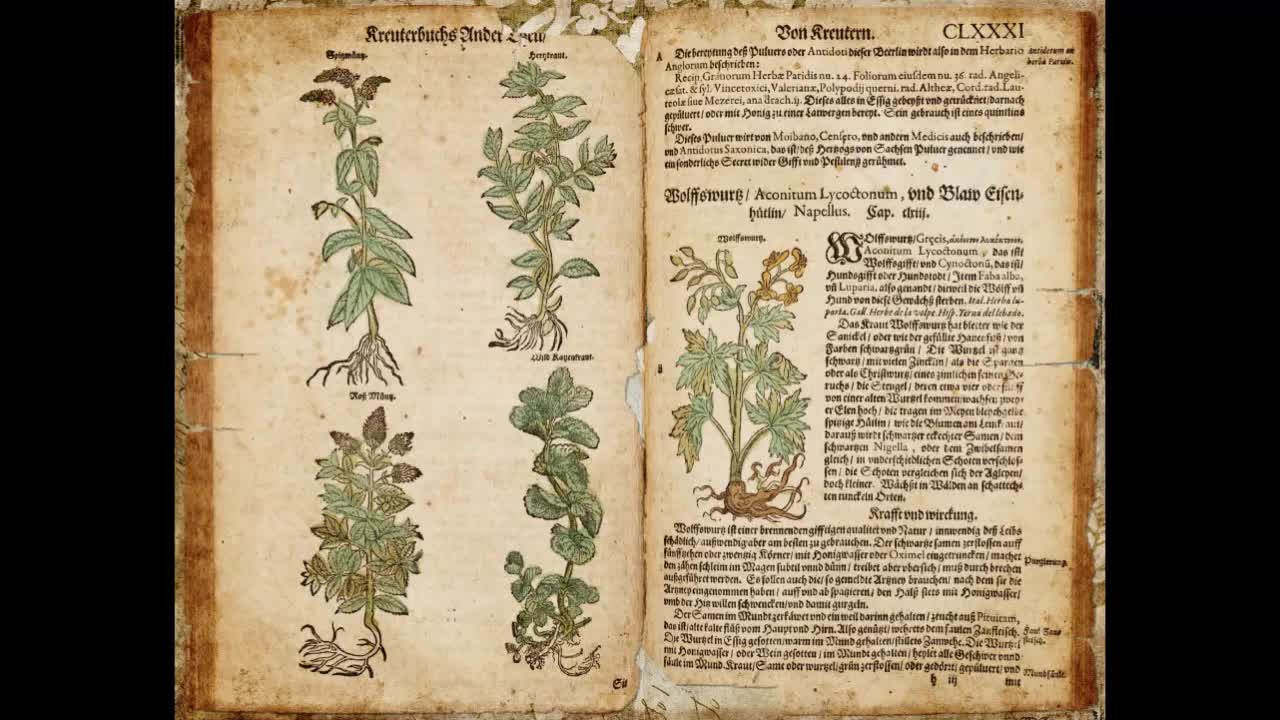 中世植物図鑑：1700年代のアンティークブックスキャンによる