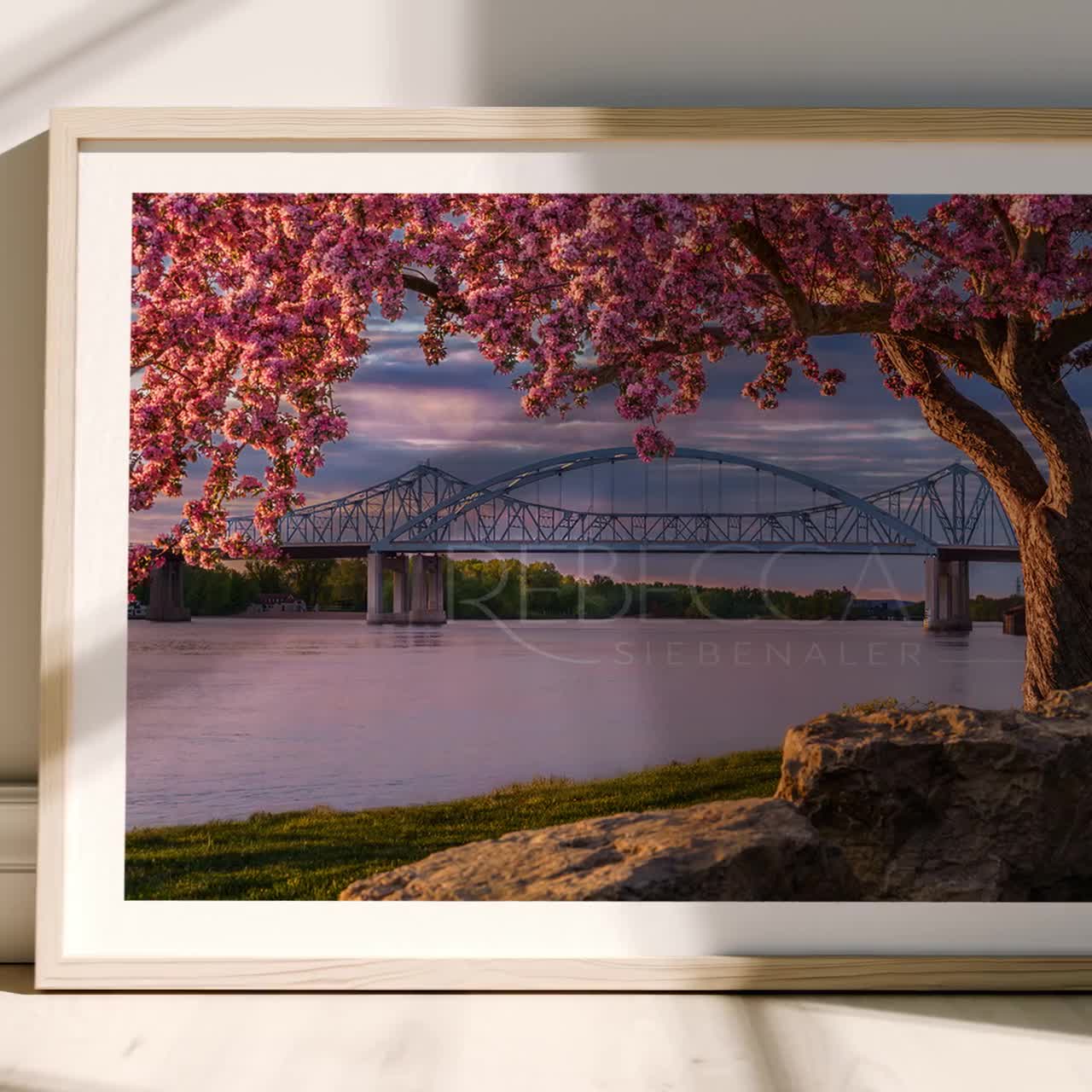 Cass Street Bridge La Crosse Print, Cherry Blossom Photography