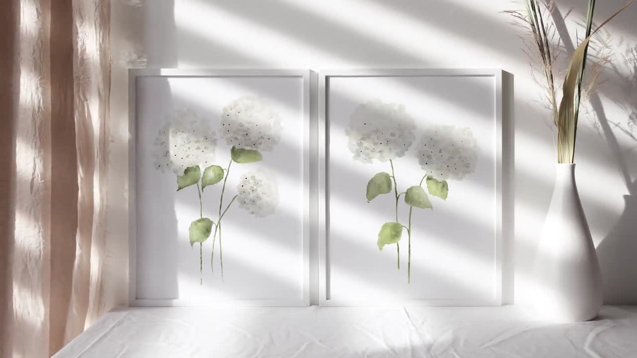 アナベル・アジサイの花 – 水彩画風植物画2枚セット、ミニマルな白い