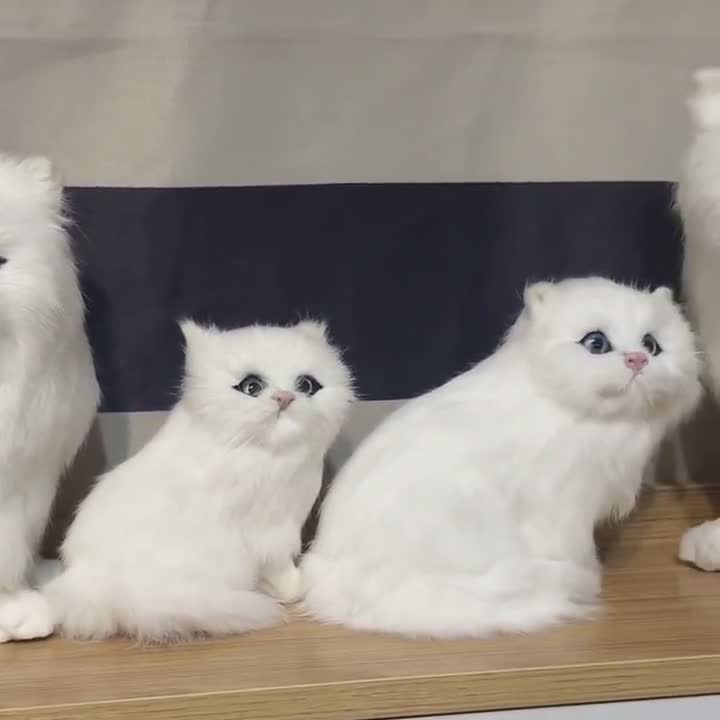 本物そっくりのペルシャ猫の置物、リアルな動物のぬいぐるみ、ふわふわ