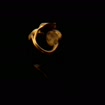 listing-video-1