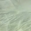 listing-video-2