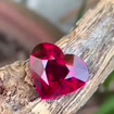 listing-video-1