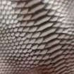 listing-video-1